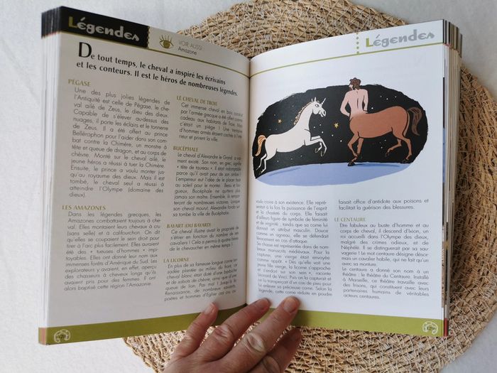 L'encyclopédie 🐴 de la cavalière qui veut tout savoir ! - photo numéro 10
