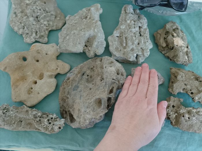 Pierres aquarium - photo numéro 2