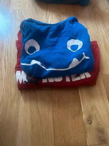 Lot 2 T-shirt manches longues taille 92cm