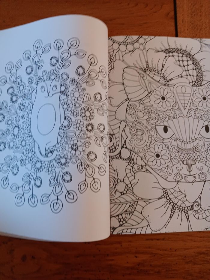 Livre coloriage magique - photo numéro 2