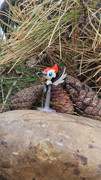 Super figurine Pokemon Nintendo Picasso