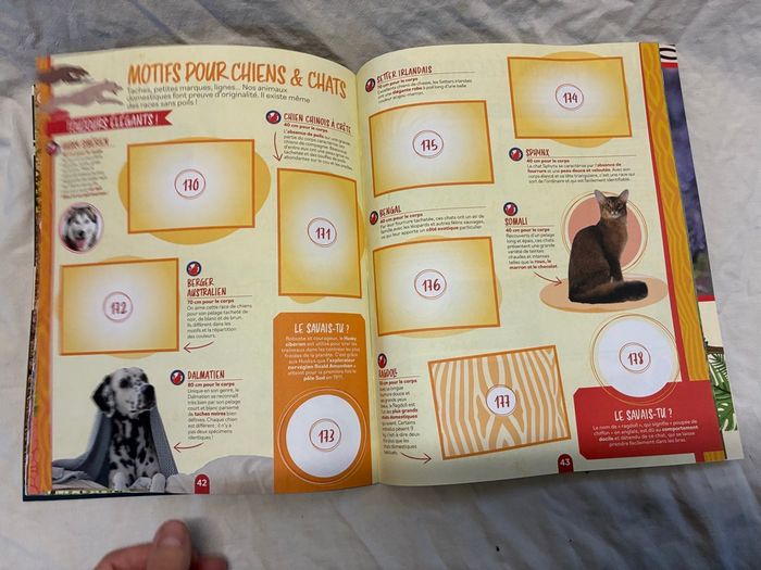 Kit panini Sachets de stickers Le Monde Des Animaux mille et une couleurs - photo numéro 9