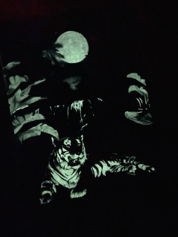 Puzzle fluorescent 1000 pièces tigre jungle