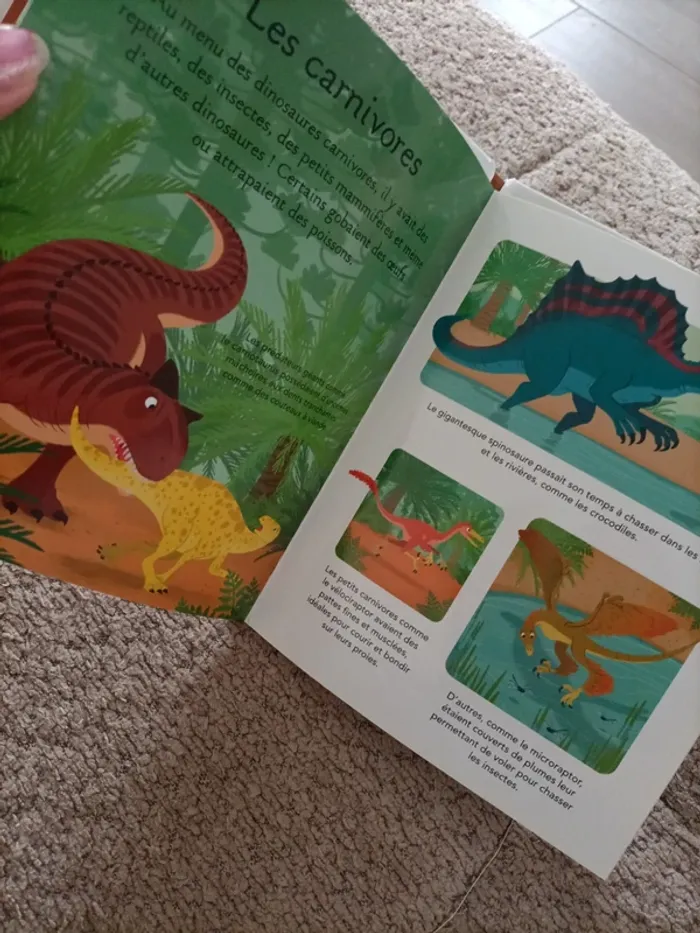 Livre La petite imagerie Les dinausores - photo numéro 10