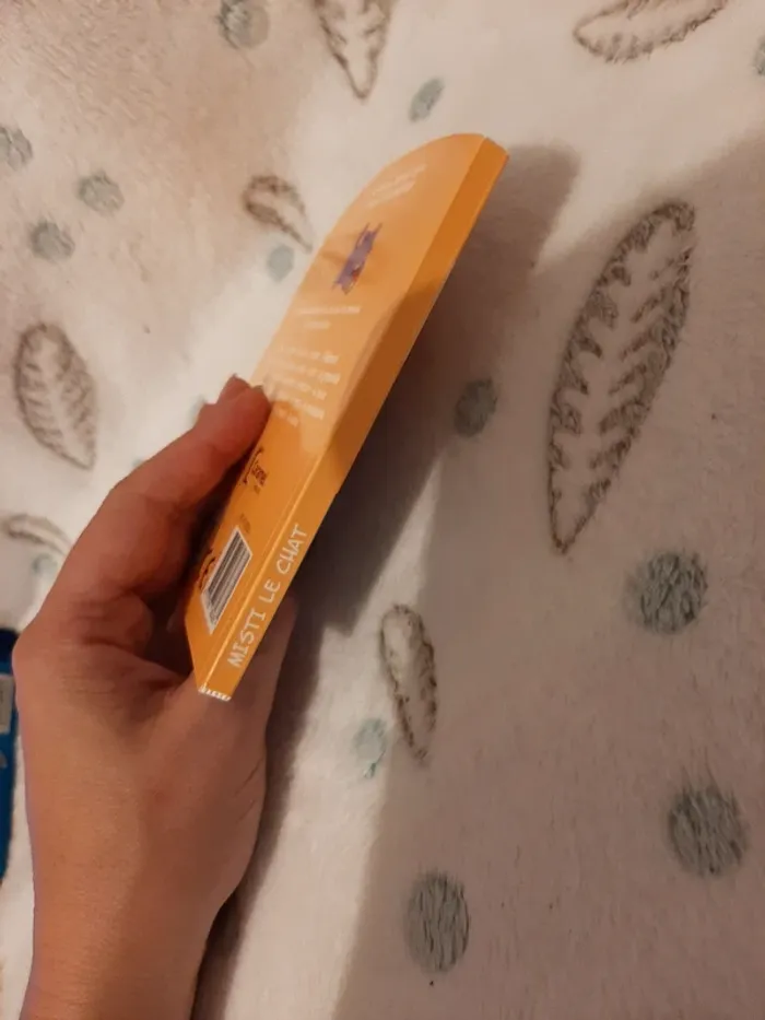 Livre Misti le chat neuf - photo numéro 5