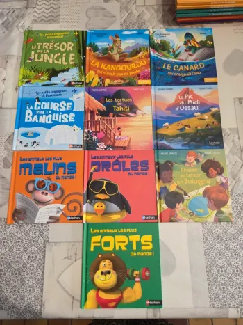 Lot 10 livres