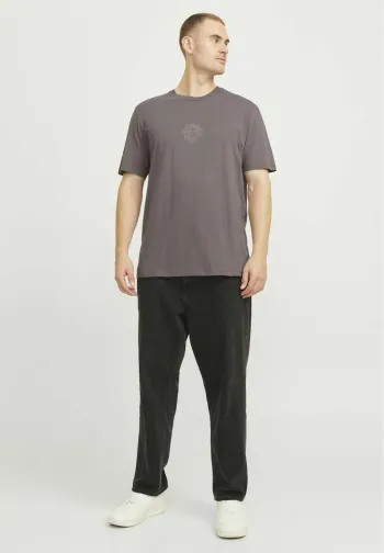 T-shirt Jack & Jones soleil gris homme
