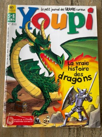 Youpi - La vrai histoire des dragons