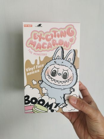 Pop mart labubu macaron