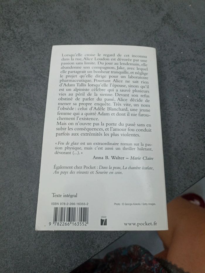 Feu de glace - photo numéro 3