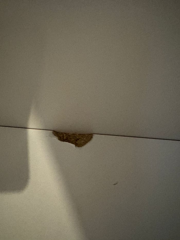 Chambre enfant/bébé complète - photo numéro 3