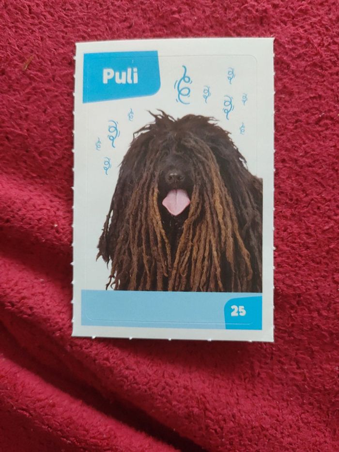 Autocollant nos amies les bêtes