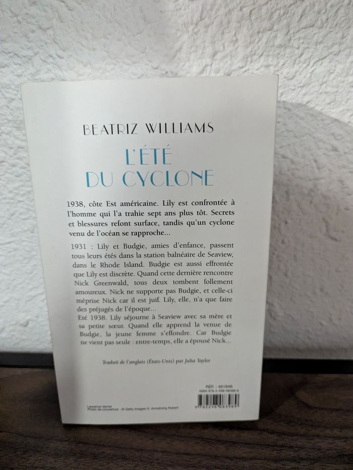 L'été du cyclone - photo numéro 2