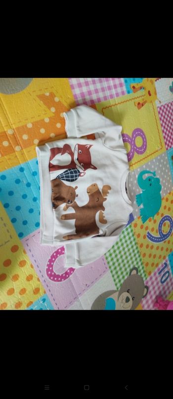 Sweat bébé garçon 18 mois