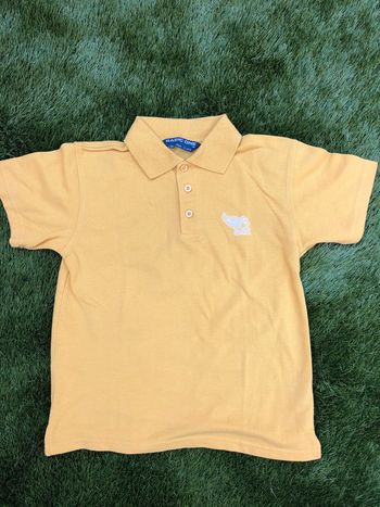 Polo basique