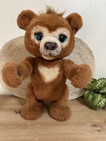 Peluche interactive l ours cubby fur réal Friends hasbro