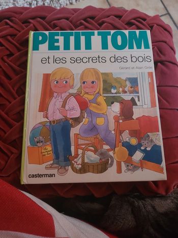 Petit tom et le secrets des bois