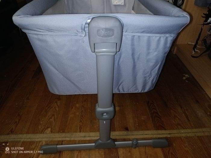 Cododo chicco - photo numéro 3