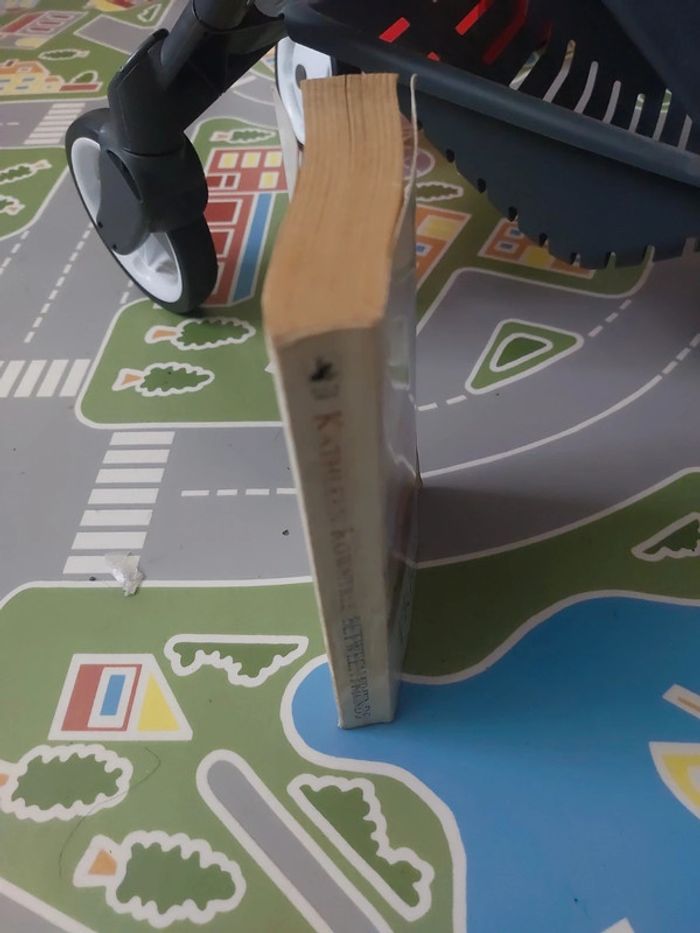 Between friends- Kathleen Rowntree - photo numéro 3