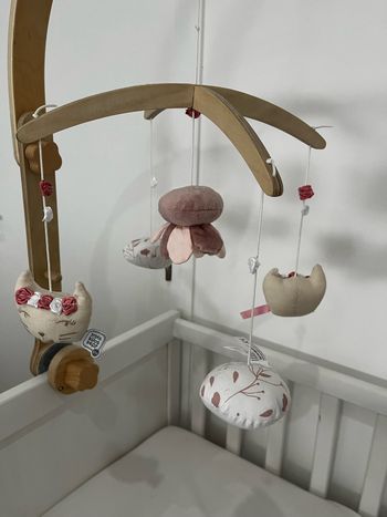 Module trois sept kilos collection Rose et Lilimobile musicale