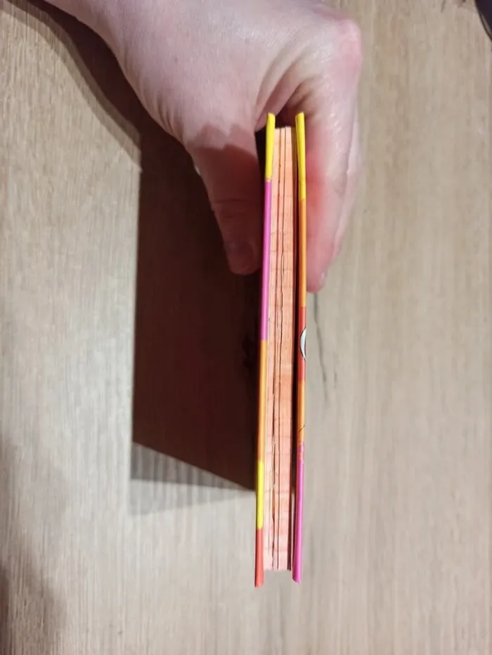 Carnet Diddl n°5 5,00€ - photo numéro 4