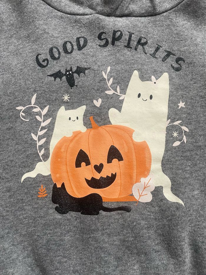 Sweat-shirt Halloween 4ans (Kiabi) - photo numéro 2