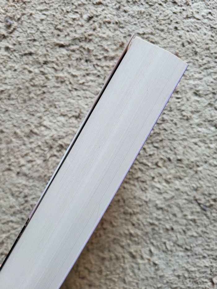 Livre Le Menteur de Nora Roberts - photo numéro 3