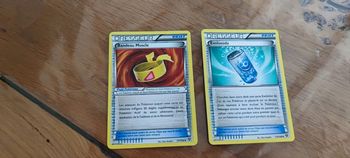 Lot 2 cartes Pokémon