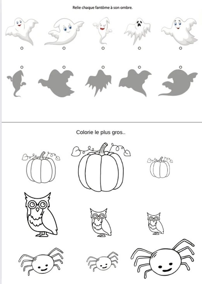 Feuilles activités - photo numéro 7