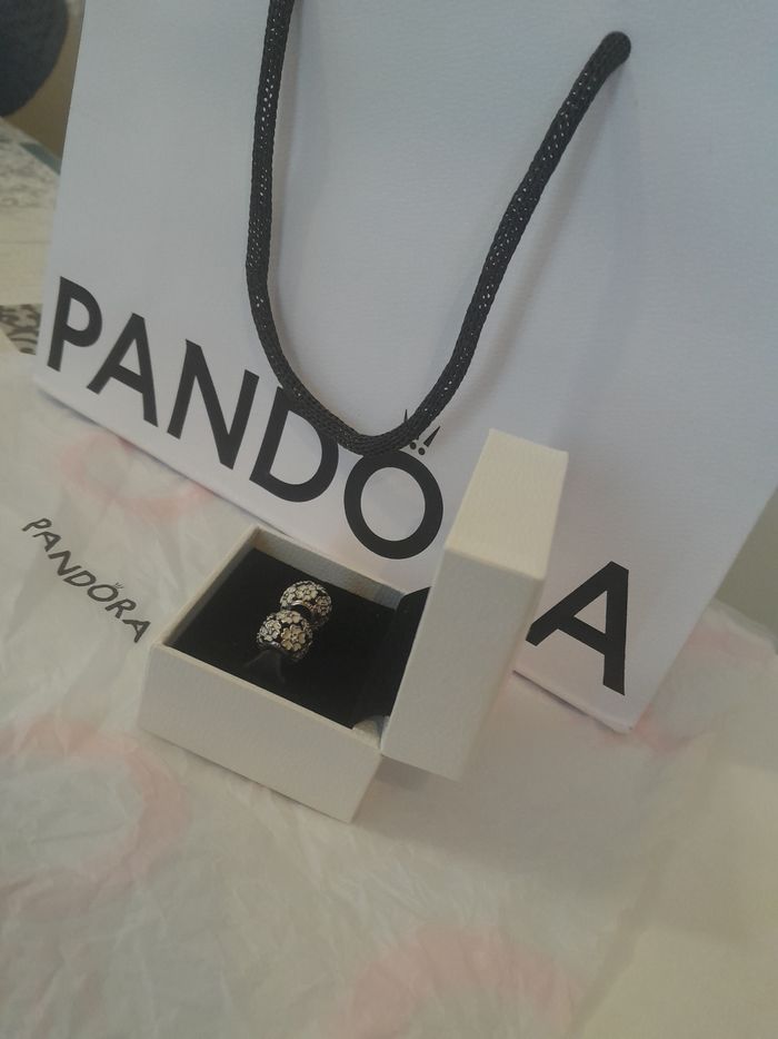 2 charms Pandora - photo numéro 3