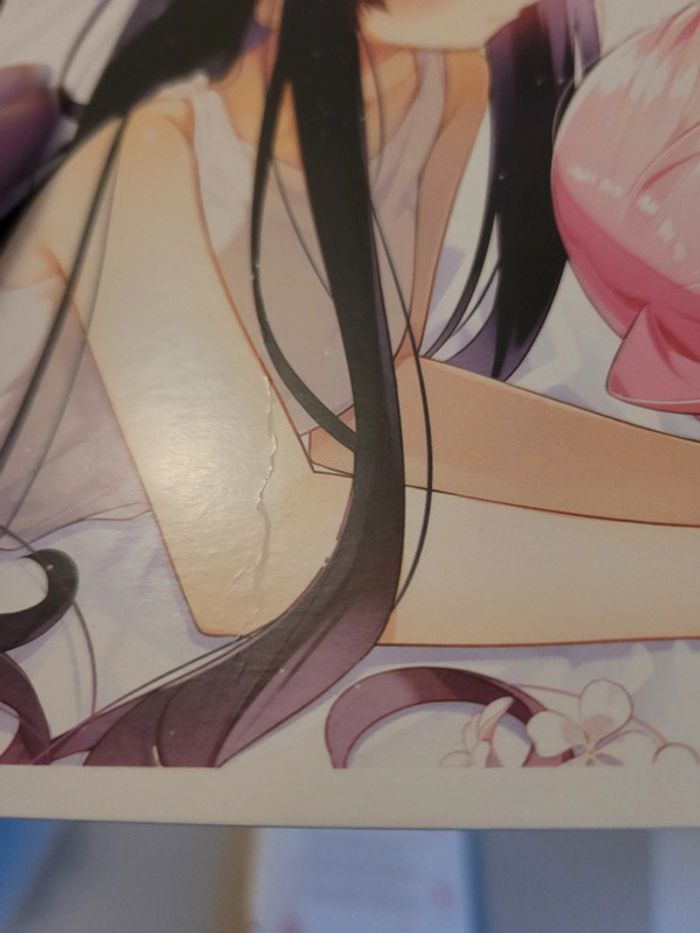 Manga yuri Anémone flamboyante - photo numéro 7