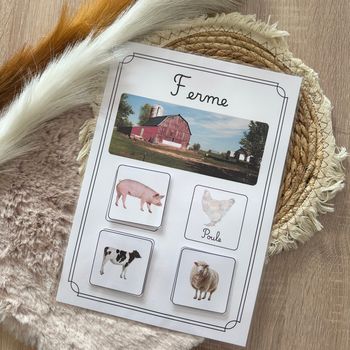 Les animaux 