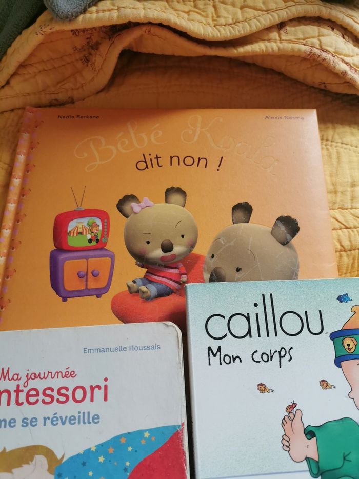 Lot de 4 livres cartonnes enfant - photo numéro 2