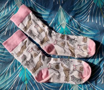 Chaussette chats 35-38