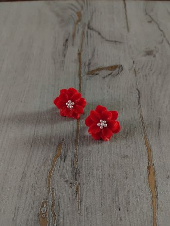 Boucles d'oreilles neuves