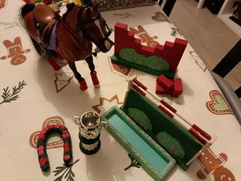 Grand Champion - Kit compétition Obstacle 