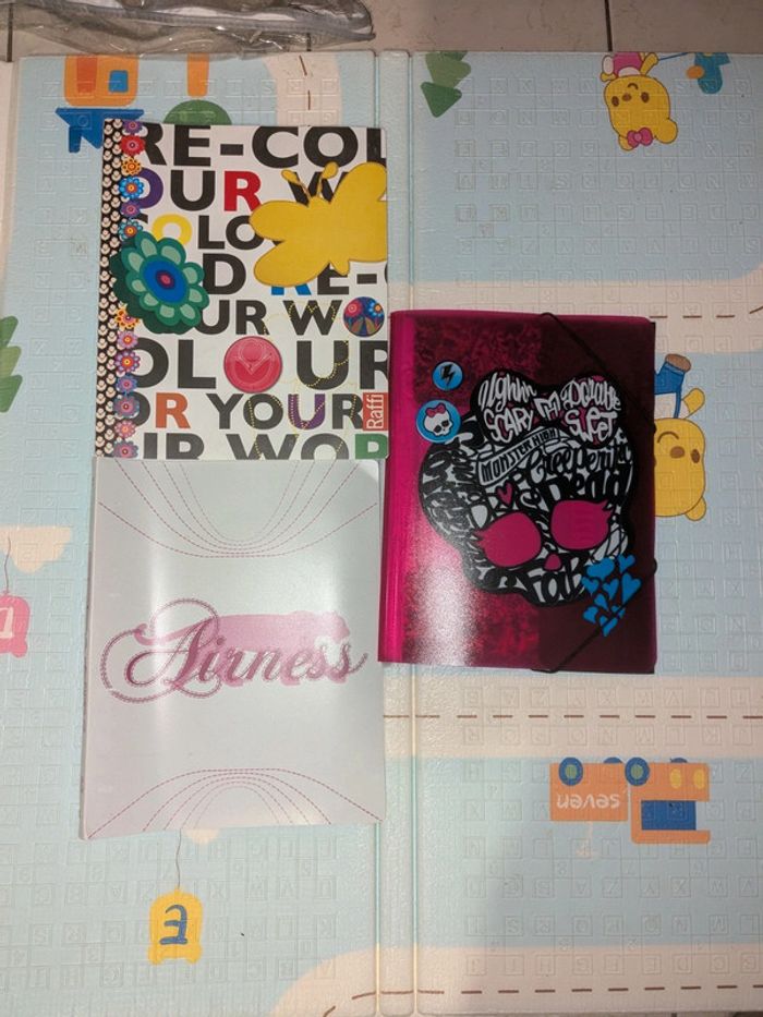 Lot de 2 classeurs souples et une pochette plastique