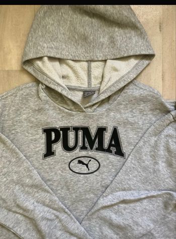 Pull a capuche puma