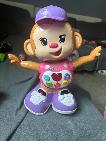 Singe titi ouistitis