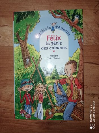 Livre roman enfant, Félix le génie des cabanes, L'école d'Agathe, Éditions Rageot Hatier