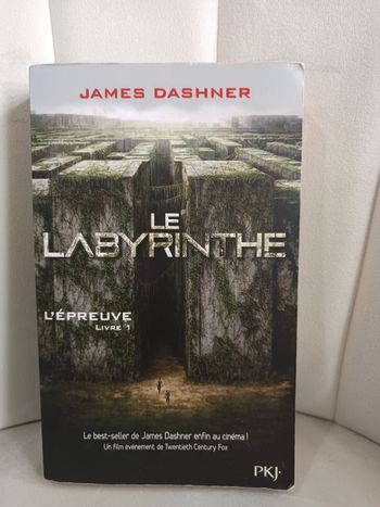 Le Labyrinthe tome 1