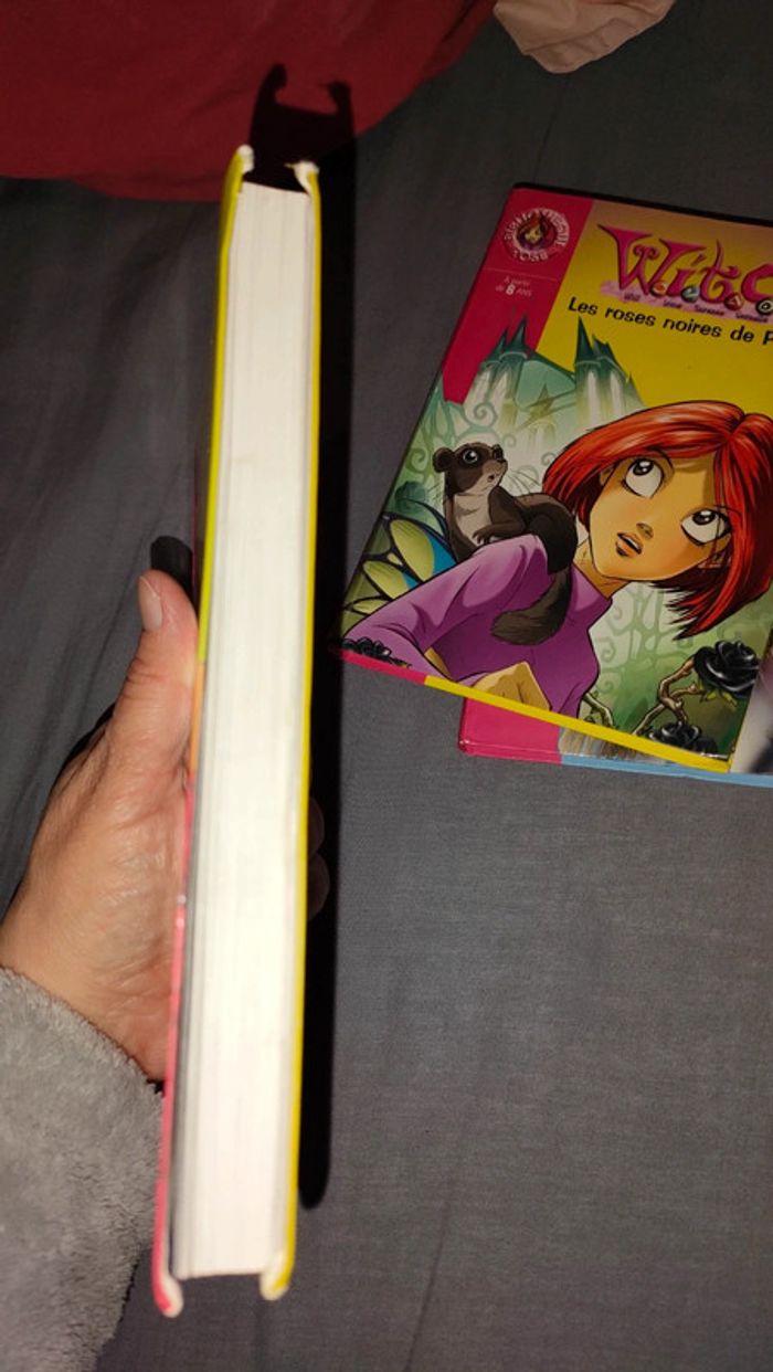 Lot 3 livres witch - photo numéro 9