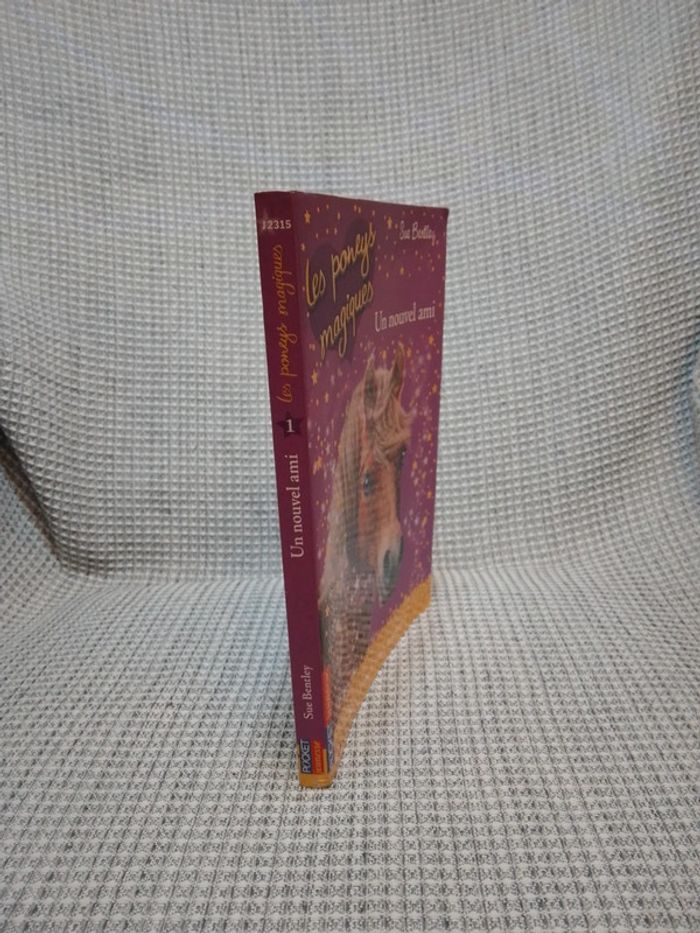 Un Nouvel Ami - Les Poneys Magiques T.1 - photo numéro 10