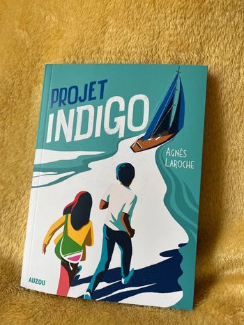 Livre, projet indigo d’Agnès Laroche
