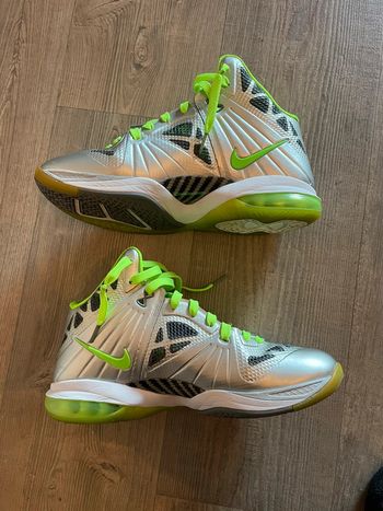 Nike Lebron James 8 Dunkman