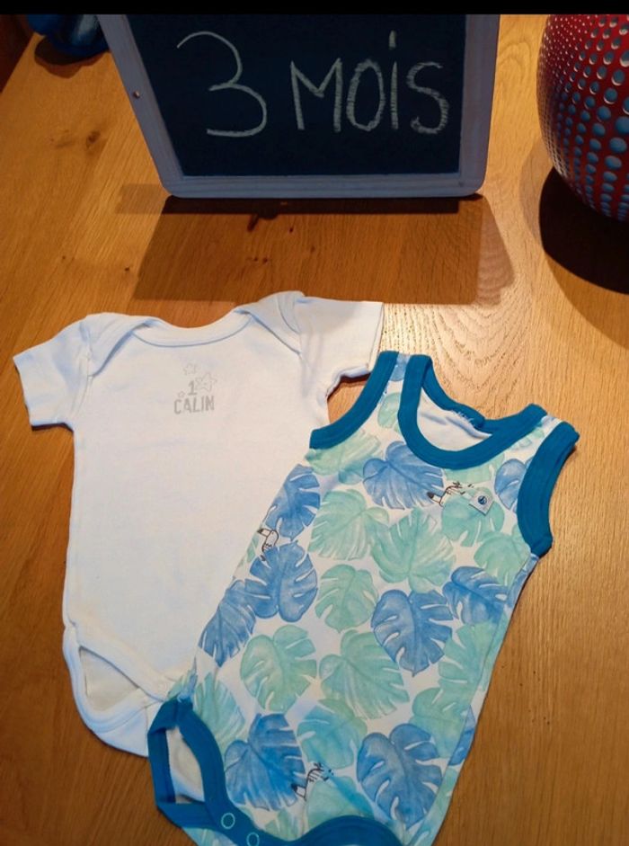 Lot de 2 bodies Petit Bateau taille 3 mois en très bon état