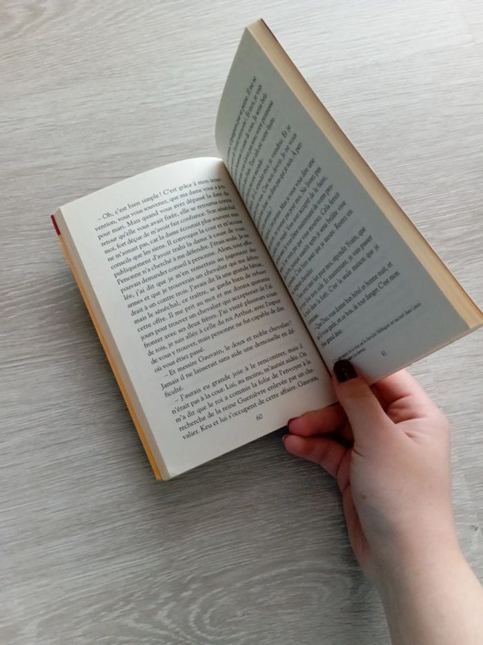 Livre : Yvain ou le Chevalier au lion de Chrétien de Troyes - photo numéro 7