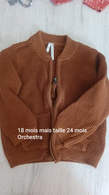 Gilet