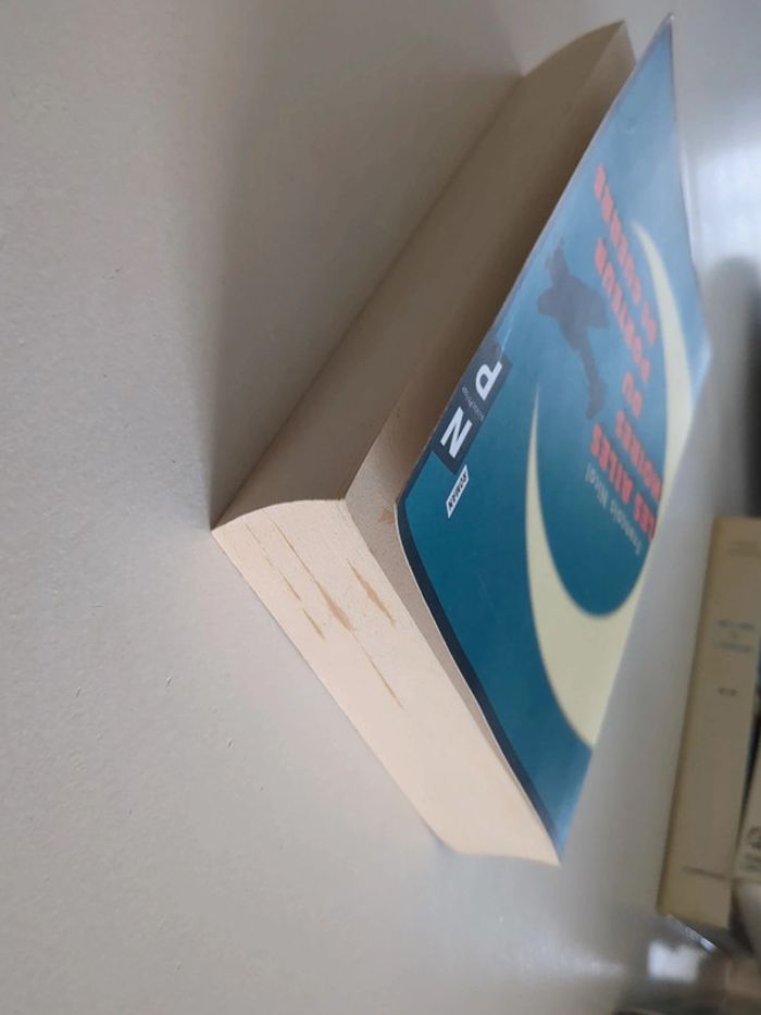 Les ailes noires du porteur de guerre - François Nicol - photo numéro 3