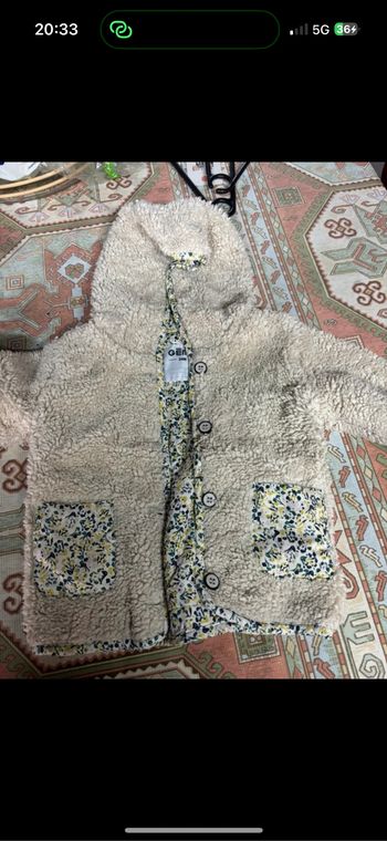 Vestes